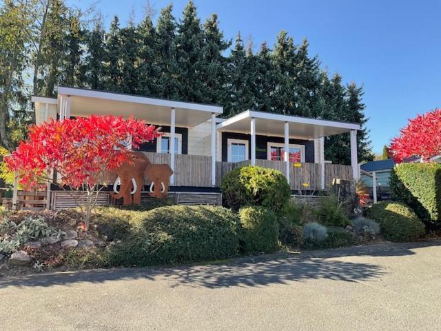 Zu Jeddelohs Bungalows & Apartments -Adult Friendly Gladenbach Exterior foto